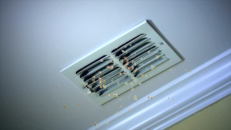  Loudon, TN Airduct Cleaning Pros