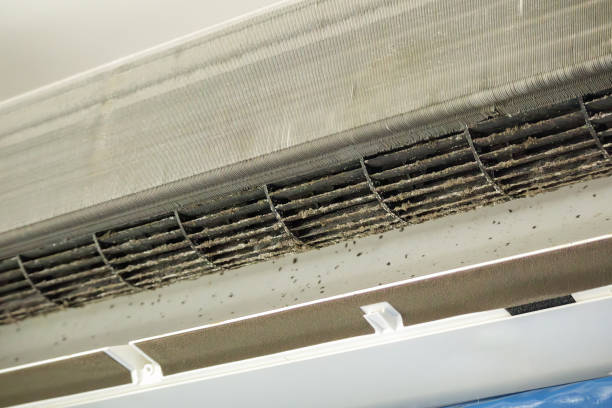 Best Best Air Duct Cleaning Company  in Loudon, TN